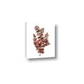 Picture of Rust Color Eucalyptus II  _GroupedProduct_Rectangle_Portrait_Canvas_