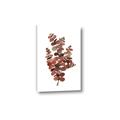 Picture of Rust Color Eucalyptus II  _GroupedProduct_Rectangle_Portrait_Canvas_