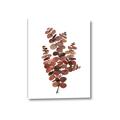 Picture of Rust Color Eucalyptus II  _GroupedProduct_Rectangle_Portrait_Canvas_