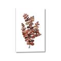 Picture of Rust Color Eucalyptus II  _GroupedProduct_Rectangle_Portrait_Canvas_