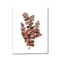 Picture of Rust Color Eucalyptus II  _GroupedProduct_Rectangle_Portrait_Canvas_