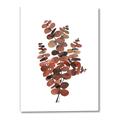 Picture of Rust Color Eucalyptus II  _GroupedProduct_Rectangle_Portrait_Canvas_