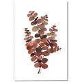 Picture of Rust Color Eucalyptus II  _GroupedProduct_Rectangle_Portrait_Canvas_