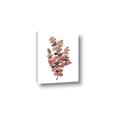 Picture of Pink Color Eucalyptus II _GroupedProduct_Rectangle_Portrait_Canvas_