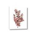 Picture of Pink Color Eucalyptus II _GroupedProduct_Rectangle_Portrait_Canvas_