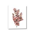 Picture of Pink Color Eucalyptus II _GroupedProduct_Rectangle_Portrait_Canvas_