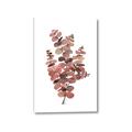 Picture of Pink Color Eucalyptus II _GroupedProduct_Rectangle_Portrait_Canvas_