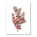 Picture of Pink Color Eucalyptus II _GroupedProduct_Rectangle_Portrait_Canvas_