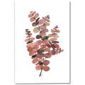 Picture of Pink Color Eucalyptus II _GroupedProduct_Rectangle_Portrait_Canvas_