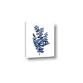 Picture of Blue Color Eucalyptus II  _GroupedProduct_Rectangle_Portrait_Canvas_