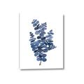 Picture of Blue Color Eucalyptus II  _GroupedProduct_Rectangle_Portrait_Canvas_