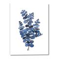 Picture of Blue Color Eucalyptus II  _GroupedProduct_Rectangle_Portrait_Canvas_