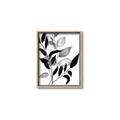Picture of Black Botanical _GroupedProduct_Rectangle_Portrait_Canvas_Framed_