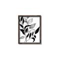 Picture of Black Botanical _GroupedProduct_Rectangle_Portrait_Canvas_Framed_