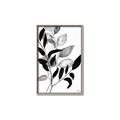 Picture of Black Botanical _GroupedProduct_Rectangle_Portrait_Canvas_Framed_