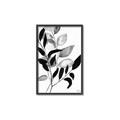 Picture of Black Botanical _GroupedProduct_Rectangle_Portrait_Canvas_Framed_