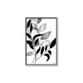 Picture of Black Botanical _GroupedProduct_Rectangle_Portrait_Canvas_Framed_