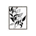 Picture of Black Botanical _GroupedProduct_Rectangle_Portrait_Canvas_Framed_