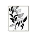 Picture of Black Botanical _GroupedProduct_Rectangle_Portrait_Canvas_Framed_