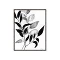 Picture of Black Botanical _GroupedProduct_Rectangle_Portrait_Canvas_Framed_