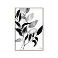 Picture of Black Botanical _GroupedProduct_Rectangle_Portrait_Canvas_Framed_