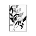 Picture of Black Botanical _GroupedProduct_Rectangle_Portrait_Canvas_Framed_