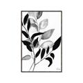 Picture of Black Botanical _GroupedProduct_Rectangle_Portrait_Canvas_Framed_