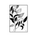 Picture of Black Botanical _GroupedProduct_Rectangle_Portrait_Canvas_Framed_