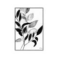 Picture of Black Botanical _GroupedProduct_Rectangle_Portrait_Canvas_Framed_