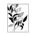 Picture of Black Botanical _GroupedProduct_Rectangle_Portrait_Canvas_Framed_