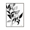 Picture of Black Botanical _GroupedProduct_Rectangle_Portrait_Canvas_Framed_