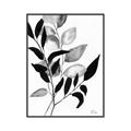 Picture of Black Botanical _GroupedProduct_Rectangle_Portrait_Canvas_Framed_