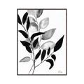 Picture of Black Botanical _GroupedProduct_Rectangle_Portrait_Canvas_Framed_