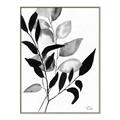 Picture of Black Botanical _GroupedProduct_Rectangle_Portrait_Canvas_Framed_