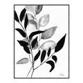 Picture of Black Botanical _GroupedProduct_Rectangle_Portrait_Canvas_Framed_