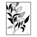 Picture of Black Botanical _GroupedProduct_Rectangle_Portrait_Canvas_Framed_