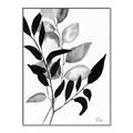 Picture of Black Botanical _GroupedProduct_Rectangle_Portrait_Canvas_Framed_