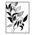 Picture of Black Botanical _GroupedProduct_Rectangle_Portrait_Canvas_Framed_