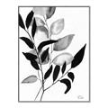 Picture of Black Botanical _GroupedProduct_Rectangle_Portrait_Canvas_Framed_
