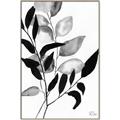 Picture of Black Botanical _GroupedProduct_Rectangle_Portrait_Canvas_Framed_