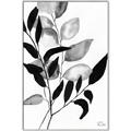 Picture of Black Botanical _GroupedProduct_Rectangle_Portrait_Canvas_Framed_