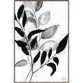 Picture of Black Botanical _GroupedProduct_Rectangle_Portrait_Canvas_Framed_