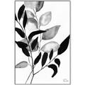 Picture of Black Botanical _GroupedProduct_Rectangle_Portrait_Canvas_Framed_