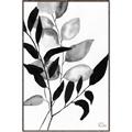 Picture of Black Botanical _GroupedProduct_Rectangle_Portrait_Canvas_Framed_