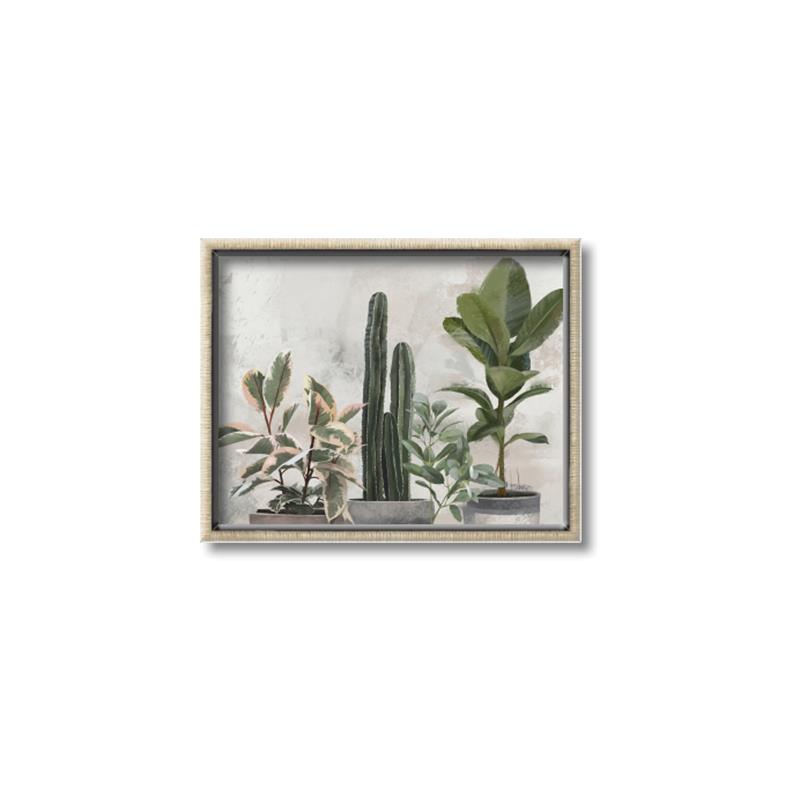 Picture of Plant Group _GroupedProduct_Rectangle_Landscape_Canvas_Framed_