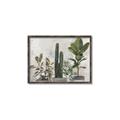 Picture of Plant Group _GroupedProduct_Rectangle_Landscape_Canvas_Framed_