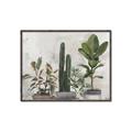 Picture of Plant Group _GroupedProduct_Rectangle_Landscape_Canvas_Framed_