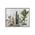 Picture of Plant Group _GroupedProduct_Rectangle_Landscape_Canvas_Framed_