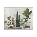 Picture of Plant Group _GroupedProduct_Rectangle_Landscape_Canvas_Framed_