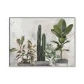Picture of Plant Group _GroupedProduct_Rectangle_Landscape_Canvas_Framed_
